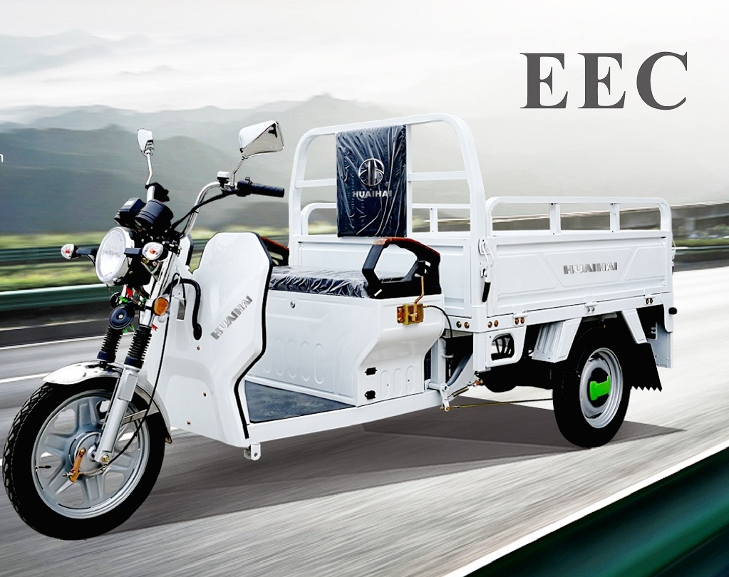 EEC_Electric Cargo Loader Feature.jpg